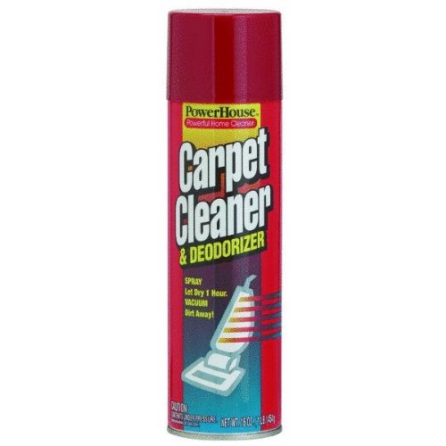 Carpet Cleaner & Deodorizer Smart Savers 12 oz Can