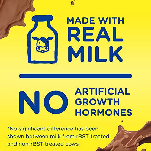 Nesquik 1% Chocolate Milk RTD 14 oz 12-Count Wholesale Case