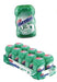 Mentos Nano Gum Spearmint 10-piece pack with cool green branding and compact pocket-friendly design
