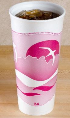 Horizon Hot/Cold Disposable Cups 24 oz bulk case of 500 food service packaging