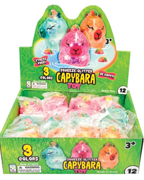Raymond Geddes Capybara Glitter Squeeze Toy Boxes 12-Count Wholesale