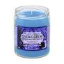 Smoke Odor Exterminator Jar Candle Blueberry Dreams 12ct