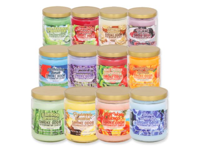 Smoke Odor Exterminator Jar Candle Mix Year Round Variety Pack 12ct