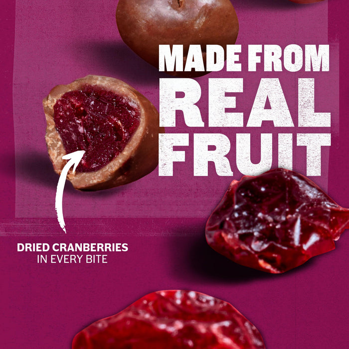 Ocean Spray Hershey's Milk Chocolate Dipped Craisins 5 oz 12-Pack Wholesale