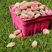 Sour Patch Kids Strawberry Soft and Chewy Candy 8 Oz Bags 12-Pack Wholesale
