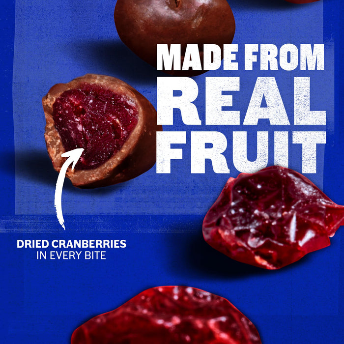 Ocean Spray Hershey's Dark Chocolate Cherry-Dipped Cranberry Bites 5 oz Wholesale 12-Pack