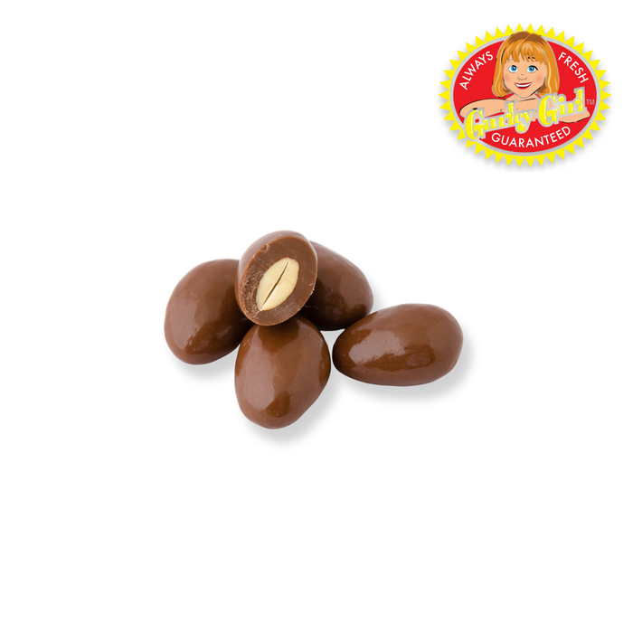 Gurley's Gourmet Roasted Nuts Holiday Gift Specialty Bulk Tins -Icy Lights by Macneil Studio