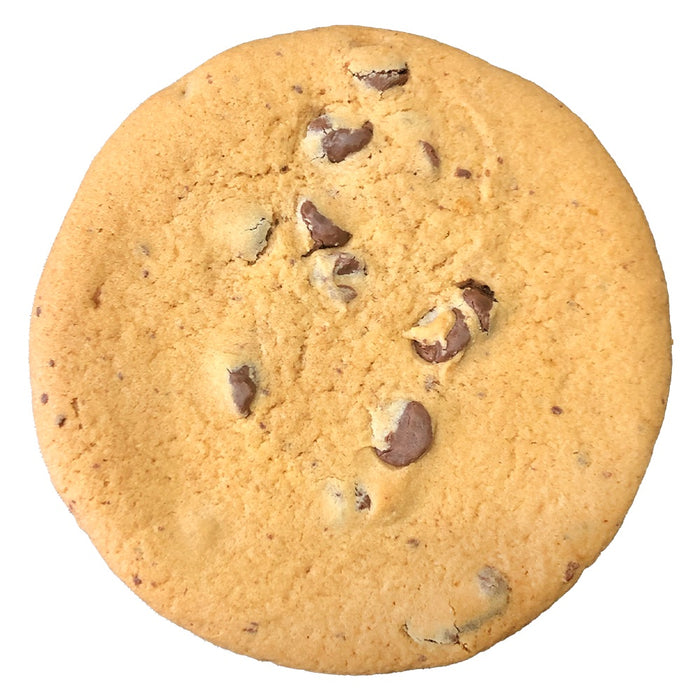 The Brownie Baker Chocolate Chip Cookie (Pack of 12)