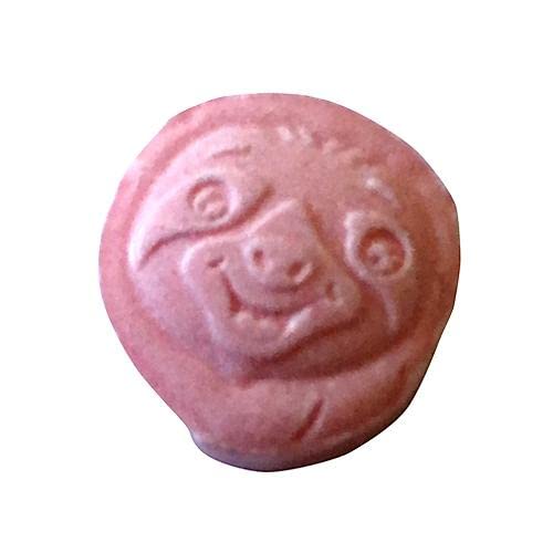 Sloth Spirit Animal Candy 12 Per Box
