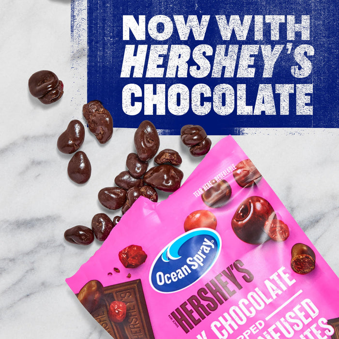 Ocean Spray Hershey's Dark Chocolate Cherry-Dipped Cranberry Bites 5 oz Wholesale 12-Pack