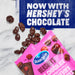 Ocean Spray Hershey's Dark Chocolate Cherry-Dipped Cranberry Bites 5 oz Wholesale 12-Pack