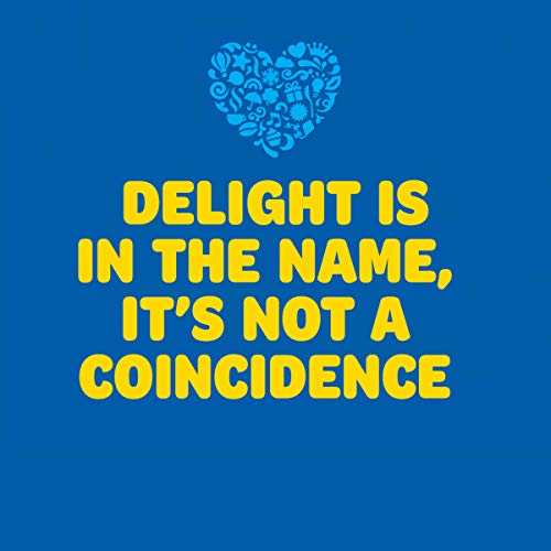 International Delight Iced Coffee Caramel Macchiato 15 fl oz 12-Pack Wholesale