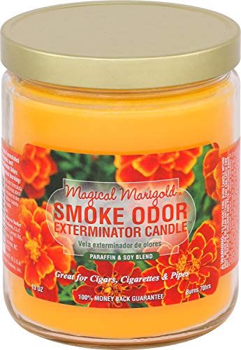 Smoke Odor Exterminator 13oz Jar Candle, Magical Marigold, 13 oz (Pack of 12)