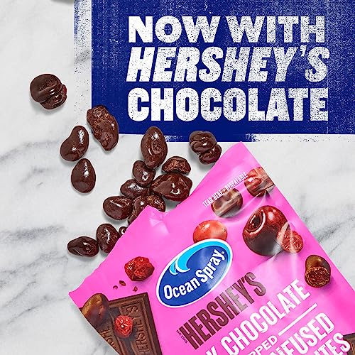 Ocean Spray Hershey's Dark Chocolate Cherry-Dipped Cranberry Bites 5 oz Wholesale 12-Pack