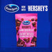 Ocean Spray Hershey's Dark Chocolate Cherry-Dipped Cranberry Bites 5 oz Wholesale 12-Pack