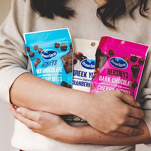 Ocean Spray Hershey's Dark Chocolate Cherry-Dipped Cranberry Bites 5 oz Wholesale 12-Pack