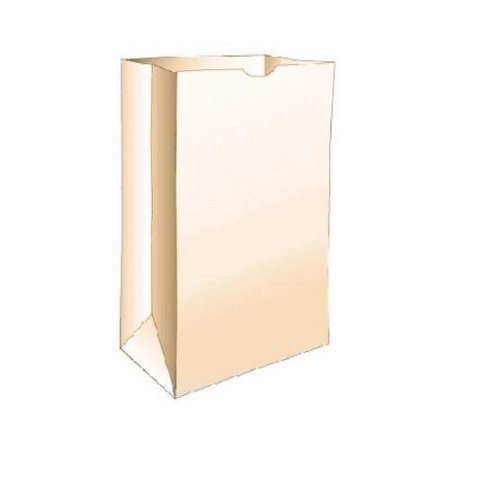 R3 Chicago 50CT Lunch Paper Bags, White