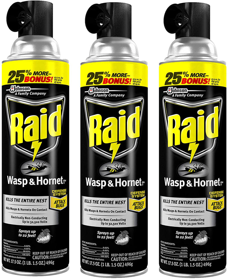 Raid Wasp and Hornet Killer 17.5 Ounce Can