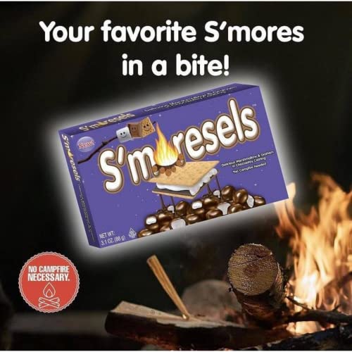 Cookie Dough Bites - S'Moresels - S'Mores Flavored Chocolate-Covered Edible Cookie Dough Bites - Egg-Free Edible Cookie Dough Candy 3.1 oz (Pack of 12)