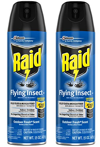 Raid Flying Insect Killer, 15 oz