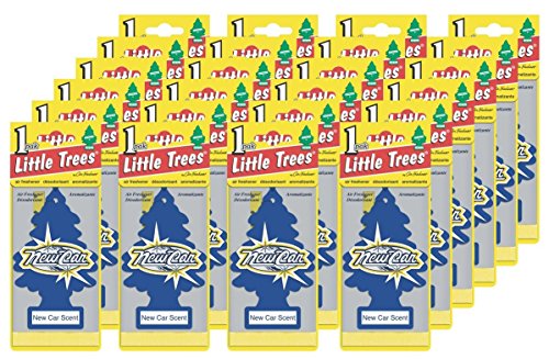 Little Trees Fresh Tree New Car Single Box