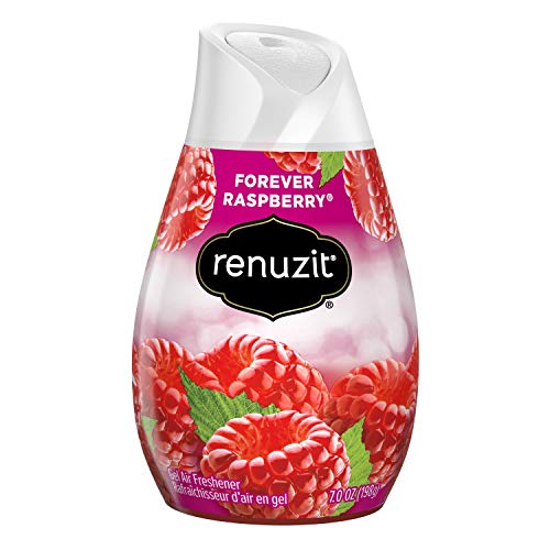 Renuzit Adjustables Gel Air Freshener Raspberry 7 Ounce Wholesale