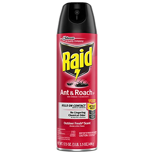 Raid Ant & Roach Killer Defense System, Outdoor Fresh Scent 17.5 Ounce Can