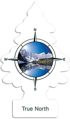 Little Trees Fresh Tree True North Single Box